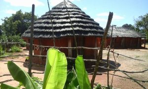 Cultural Village Tour – Experience Zimbabwe’s Heritage