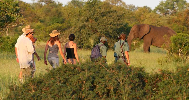 4-Day Mana Pools & Zambezi Explorer